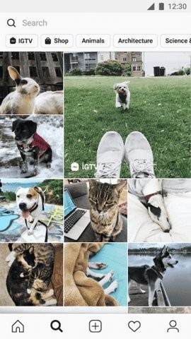 ins特效拍照软件