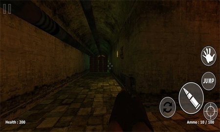 Slender Insane