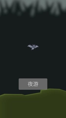 小蝙蝠夜游记小游戏下载