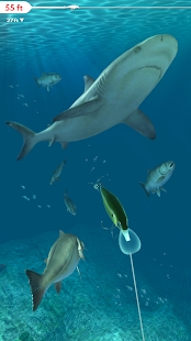 Rapala Fishing(每日捕捞) 1.6.3国际版