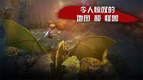虚荣国际服