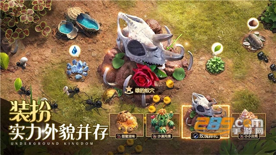 小小蚁国国际服（The Ants国际版）下载2026最新免费版v3.80.0安卓最新版