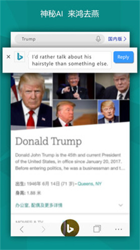 微软必应国际版