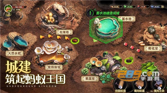 小小蚁国国际服（The Ants国际版）下载2026最新免费版v3.80.0安卓最新版