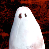 超自然现象多人恐怖国际服下载中文安卓版（Paranormal）v2.12中文安卓版