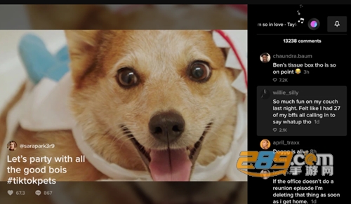 tiktok国际版官方下载2026最新版v44.9.42安卓版