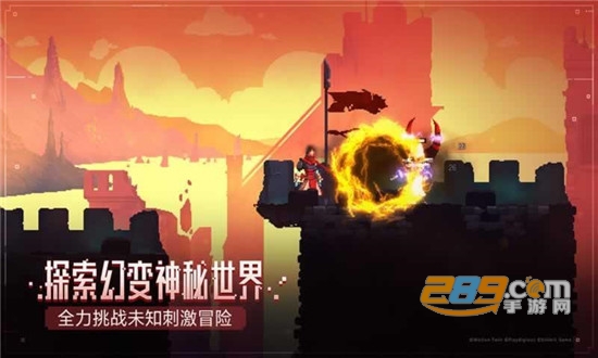 重生细胞国际服中文版v1.60.10-bilibili安卓版