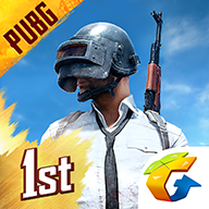 pubg国际服