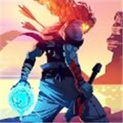 重生细胞国际服中文版v1.60.10-bilibili安卓版