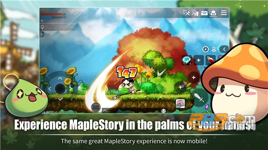 冒险岛MapleStory M国际版官方版v2.380.5531最新版