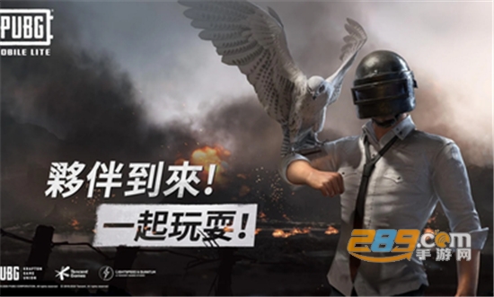 绝地求生轻量国际服低配版v0.19.0安卓版