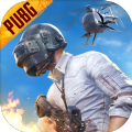 pubg地铁逃生官方正版下载2026最新国际版v4.2.0安卓最新正版版