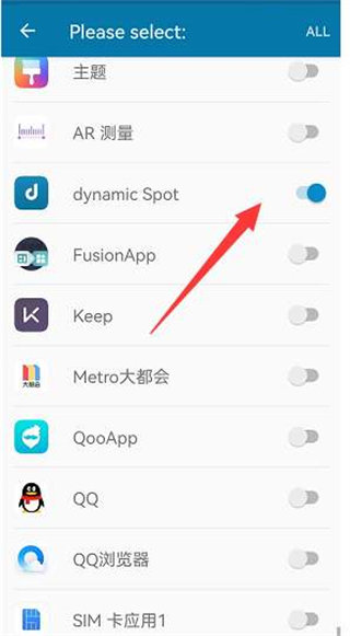 dynamic Spot中文版