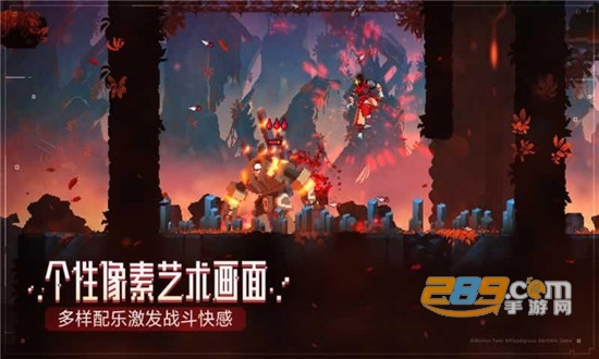 重生细胞国际服中文版v1.60.10-bilibili安卓版
