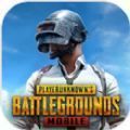 pubg地铁逃生（pubg mobile）国际服官方下载安装2025最新版本v4.3.0安卓版