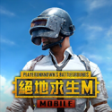 绝地求生pubgmobile国际服