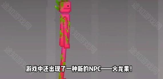 火龙果角色