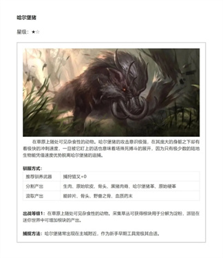 黑光生存进化国际服