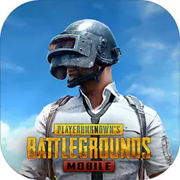 pubg国际服正式服