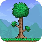 Terraria泰拉瑞亚免费国际破解版v1.4.5.4.2安卓版