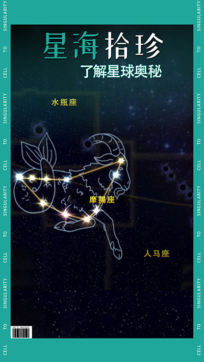 从细胞到奇点国际版