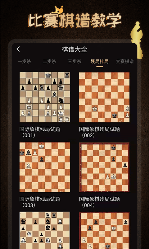 国际象棋大师中文版