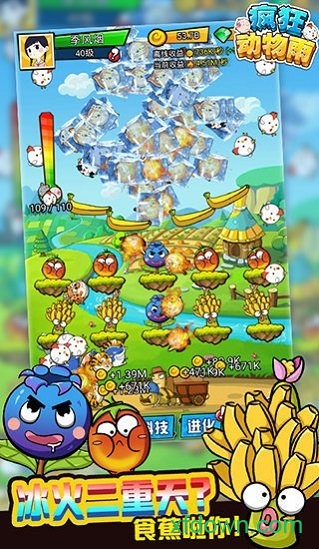 疯狂动物雨国际版