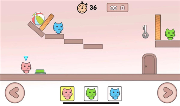 萌猫公园国际服新版