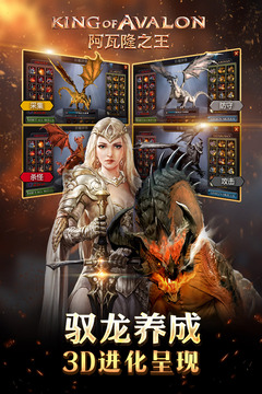 阿瓦隆之王国际服