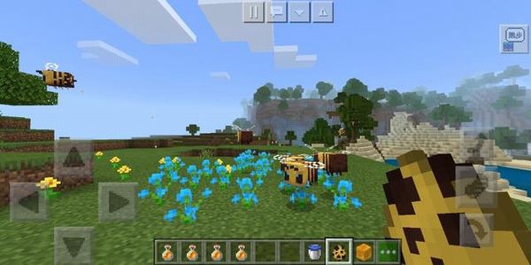 我的世界1.19国际版测试版