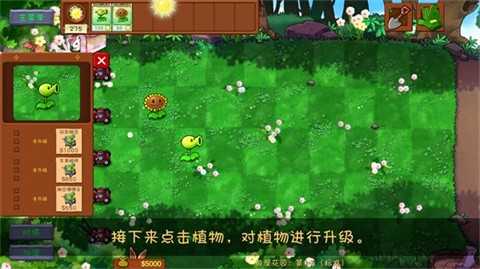 植物大战僵尸共生版无限阳光无限金币