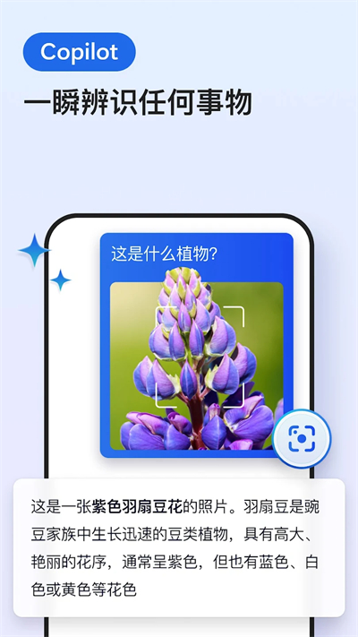 Edge浏览器国际版