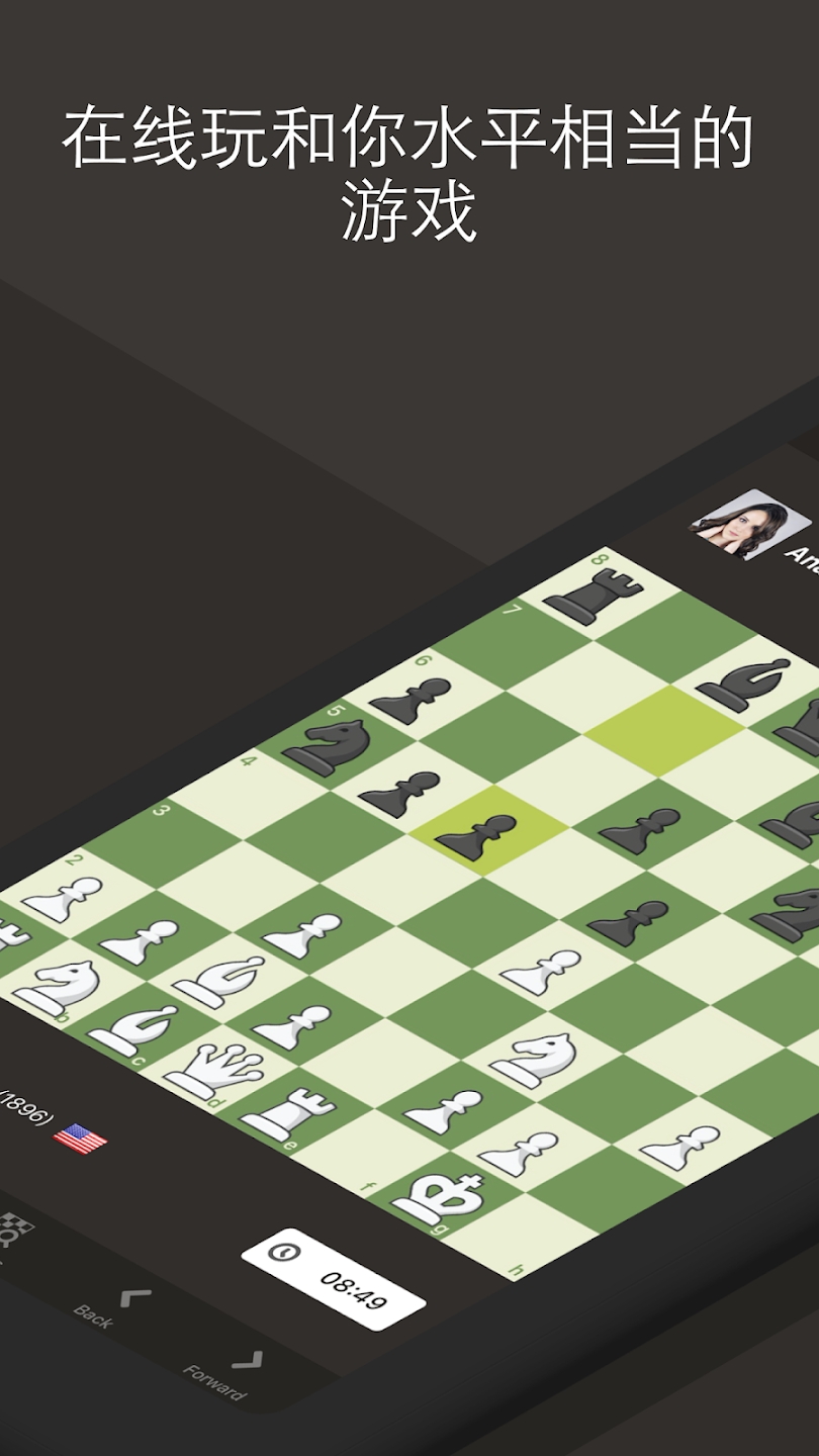 国际象棋(Chess)