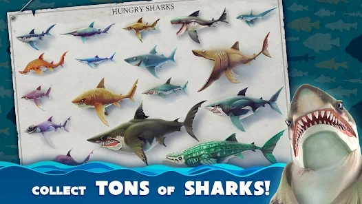 饥饿鲨世界国际服(Hungry Shark)
