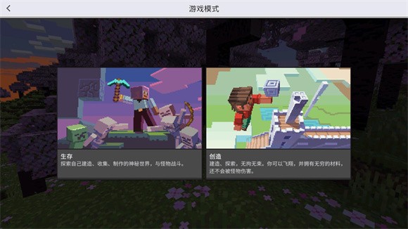 我的世界1.21国际服