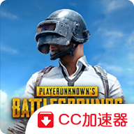 和平精英国际服游戏