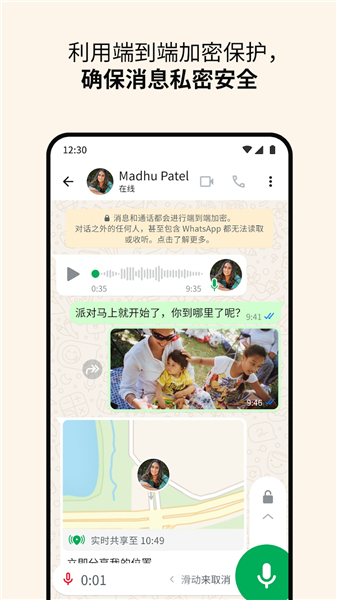 whatsapp新版本