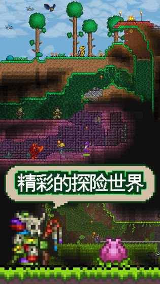 天尚网
