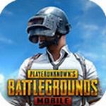 pubg国际服体验服手游下载安卓