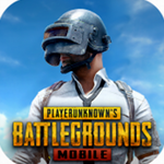 pubgmob国际服