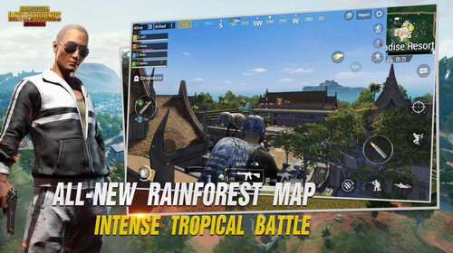 pubg国际版手游下载