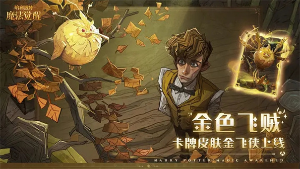 哈利波特魔法觉醒国际版
