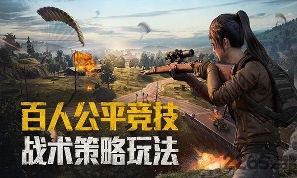 和平精英国际服官网版