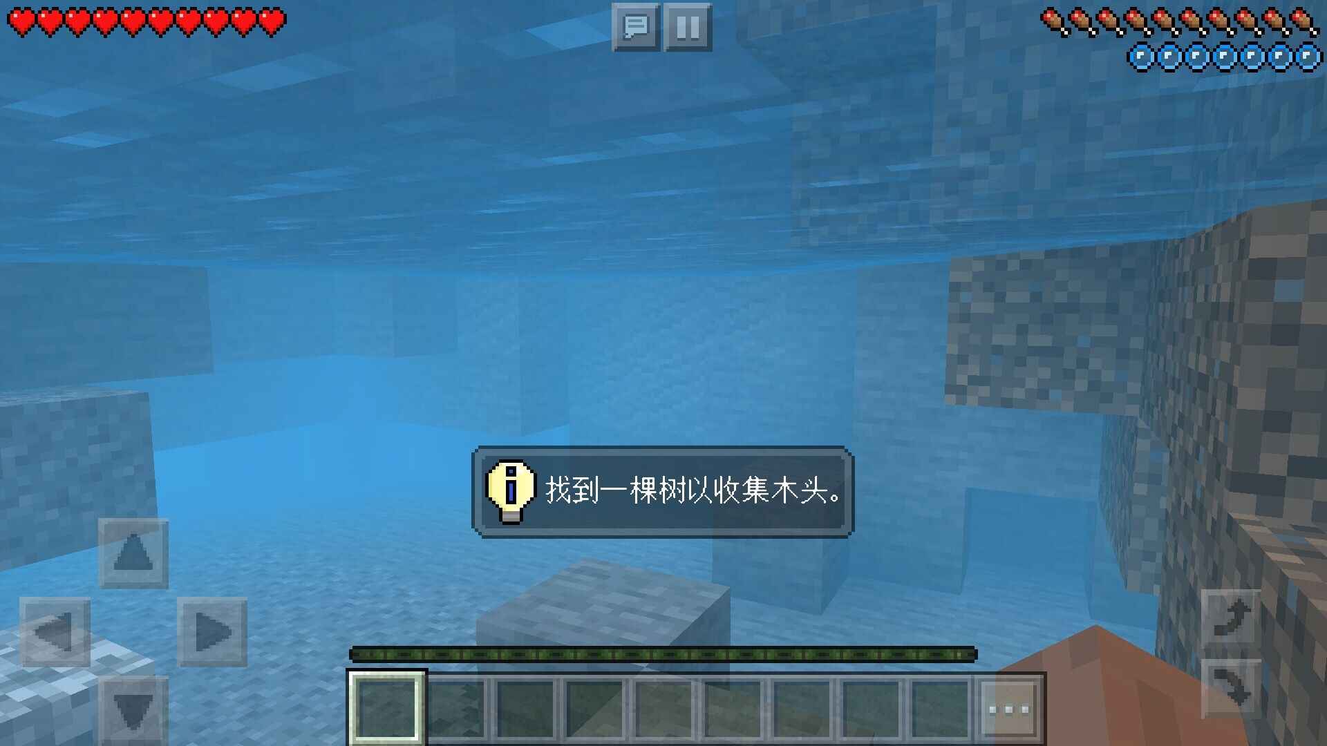 我的世界Trial国际服