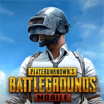 pubg国际服手游下载正版2022