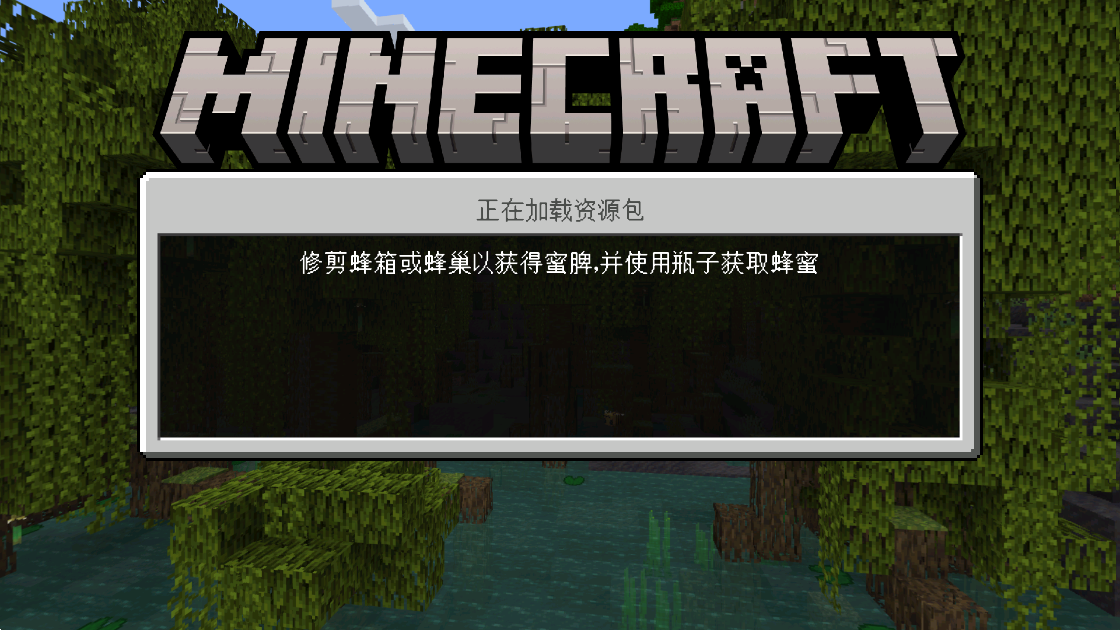 我的世界国际版1.19