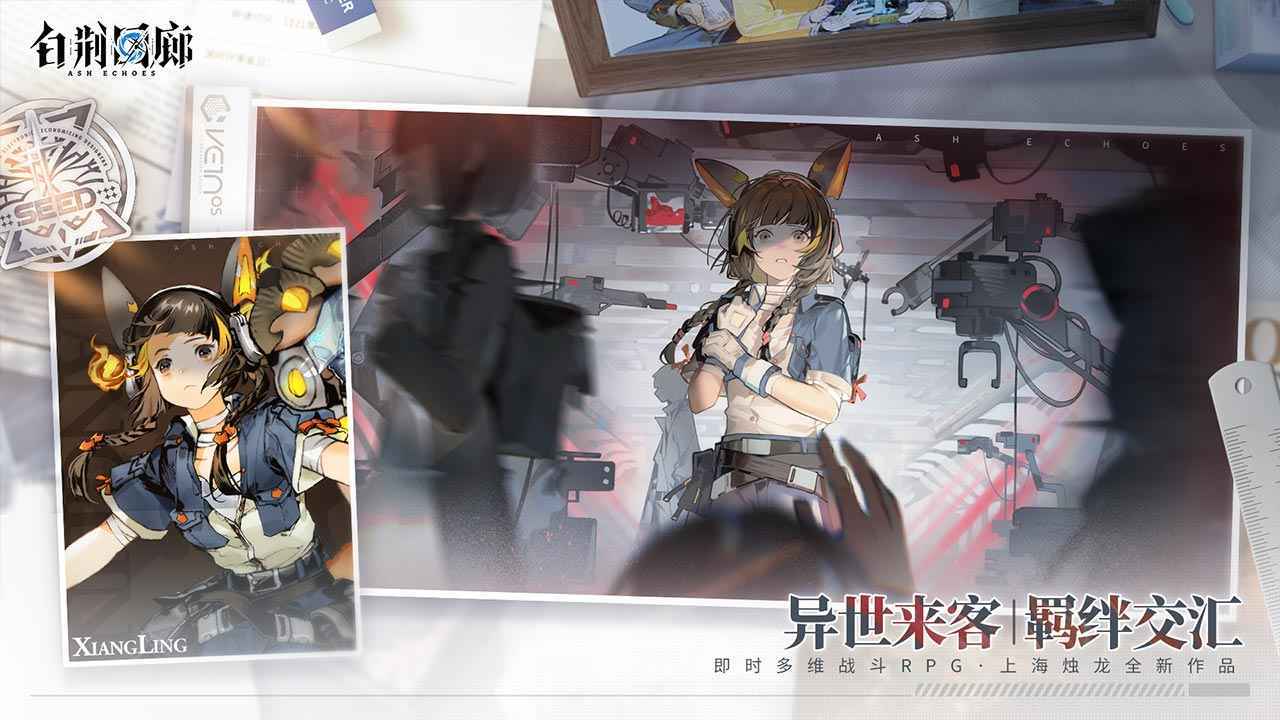 白荆回廊国际服