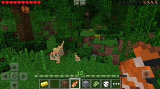 我的世界国际共存版（Minecraft）