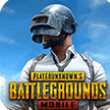 PUBGMOBILE国际版官网下载