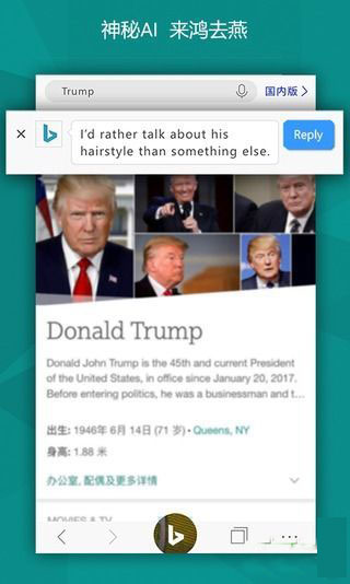 必应国际版(Bing)